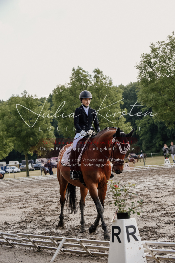 DSC_8179 | Pferde- und Turnierfotografie in Westsachsen. Pferdeportraits, Auftragszeichnungen und intuitive Kunst.