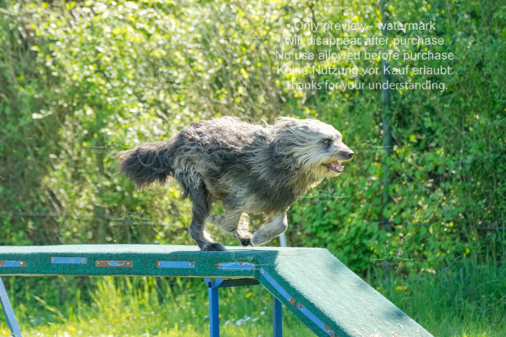 Sa_VK3_03-3 | stephaniefillaphotographie - Realisiert mit Pictrs.com