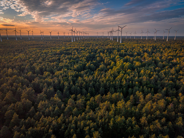 2026-07-10_20-44-43_000 | Vogelperspektive auf Windpark über Wald bei Sonnenuntergang, Teltow-Fläming, Brandenburg, Deutschland - Realisiert mit Pictrs.com