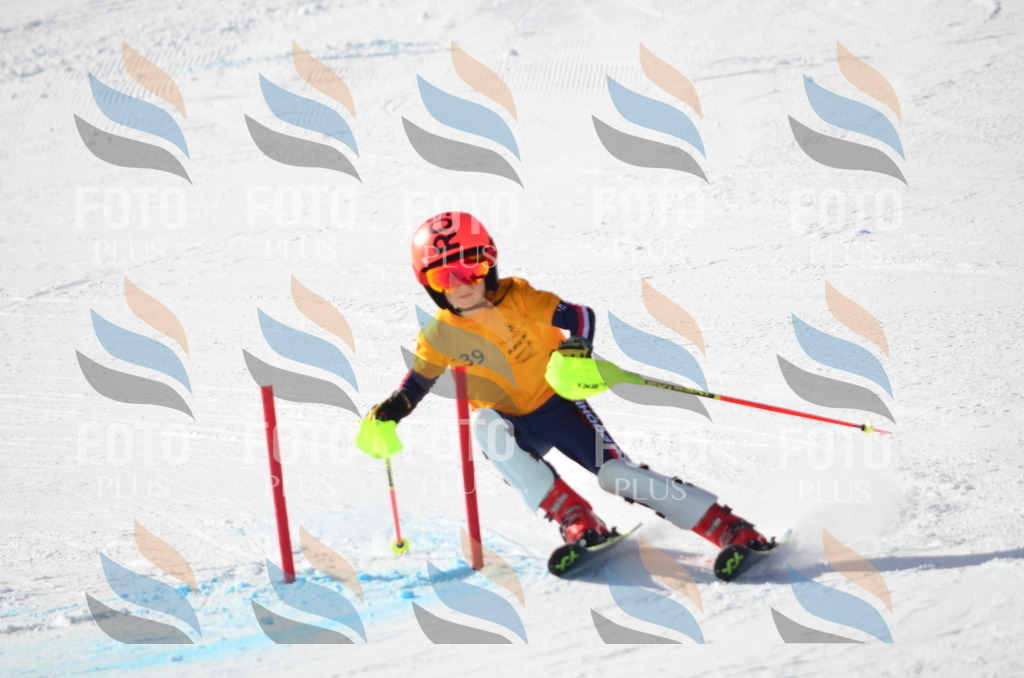 C6516 | holidayphoto