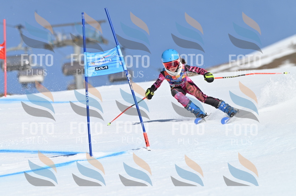 BGV_8867 | holidayphoto