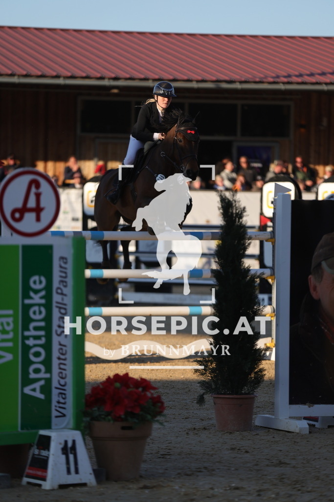 0P6A2576 | Willkommen bei Brunnmayr - Design & Fotografie – Ihrem Spezialisten für Reitturniere und Pferdeveranstaltungen in Oberösterreich, Salzburg und Bayern! Seit über 17 Jahren sind wir leidenschaftlich dabei.