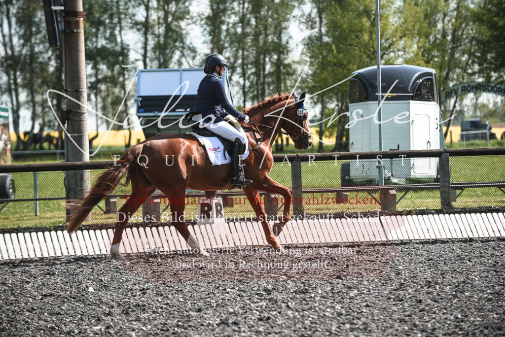 DSC_8865 | Pferde- und Turnierfotografie in Westsachsen. Pferdeportraits, Auftragszeichnungen und intuitive Kunst.