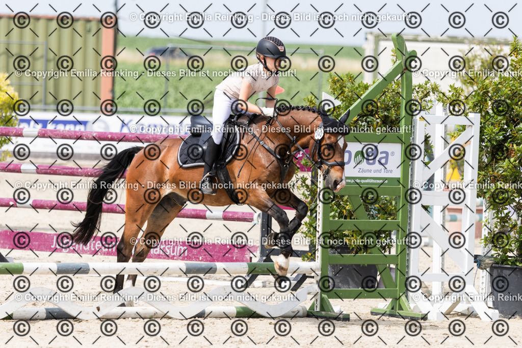 CL5A4197 | Emilia Reinking Fotografie - Realisiert mit Pictrs.com