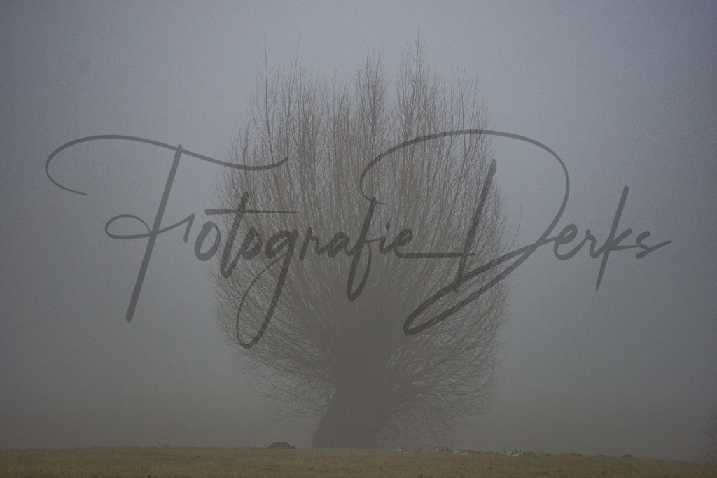 Landschaft 4-1 | fotografie-derks - Realisiert mit Pictrs.com