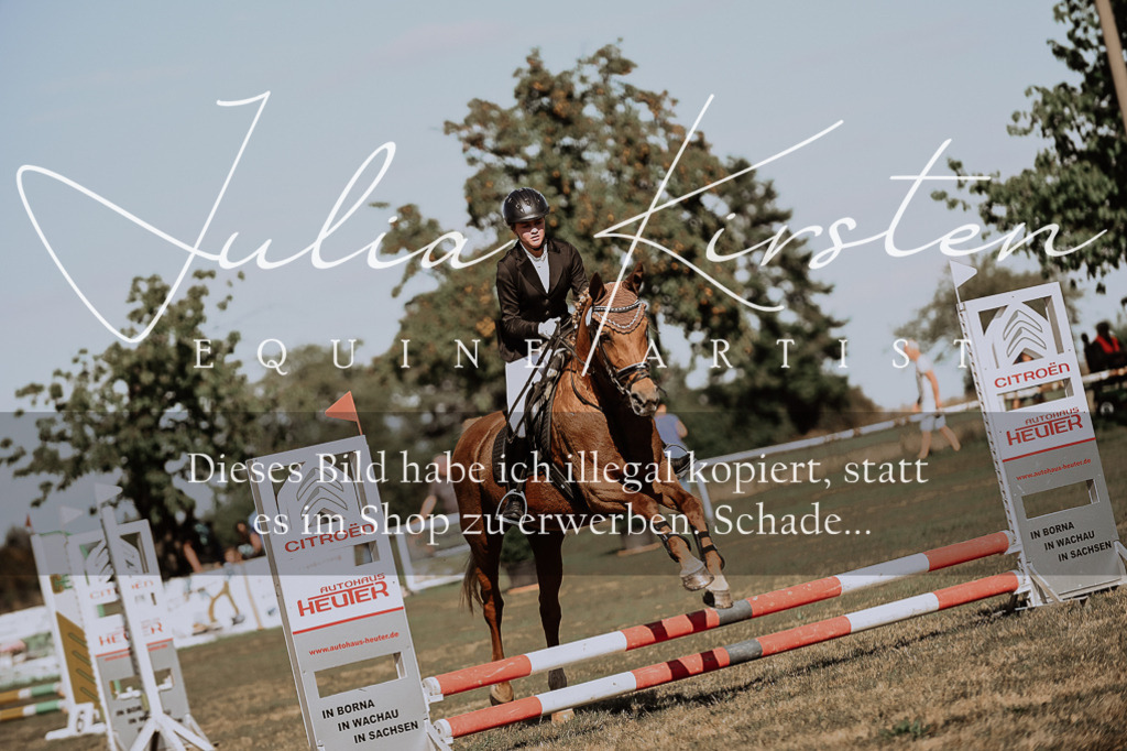 DSC_9326 | Pferde- und Turnierfotografie in Westsachsen. Pferdeportraits, Auftragszeichnungen und intuitive Kunst.