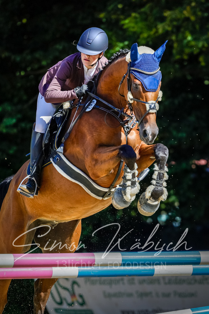 20250906-_3LI3812 | Tierfotografie Pferde, Hunde, Katzen, Haustiere.
Turnierfotografie Reitturniere, Reiten, Springreiten, Dressur in Hanau, dem Main-Kinzig-Kreis und dem Rhein-Main- Gebiet um Frankfurt