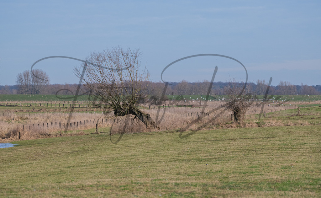 landschaft-1-24 | fotografie-derks - Realisiert mit Pictrs.com