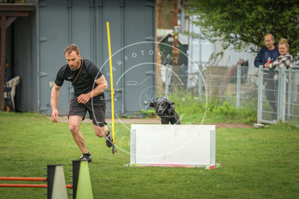 Pfotenfotografie_0L8A0354 | Hundefotografie, Tierfotograf, Pfotenfotografie, Fotoshooting Hund, Hunde Portrait, Hundesport, Hundeportraits, Heideshooting, Hunde, Sportfotograf, Hundefotograf, Turnierhundsport, THS,  - Realisiert mit Pictrs.com
