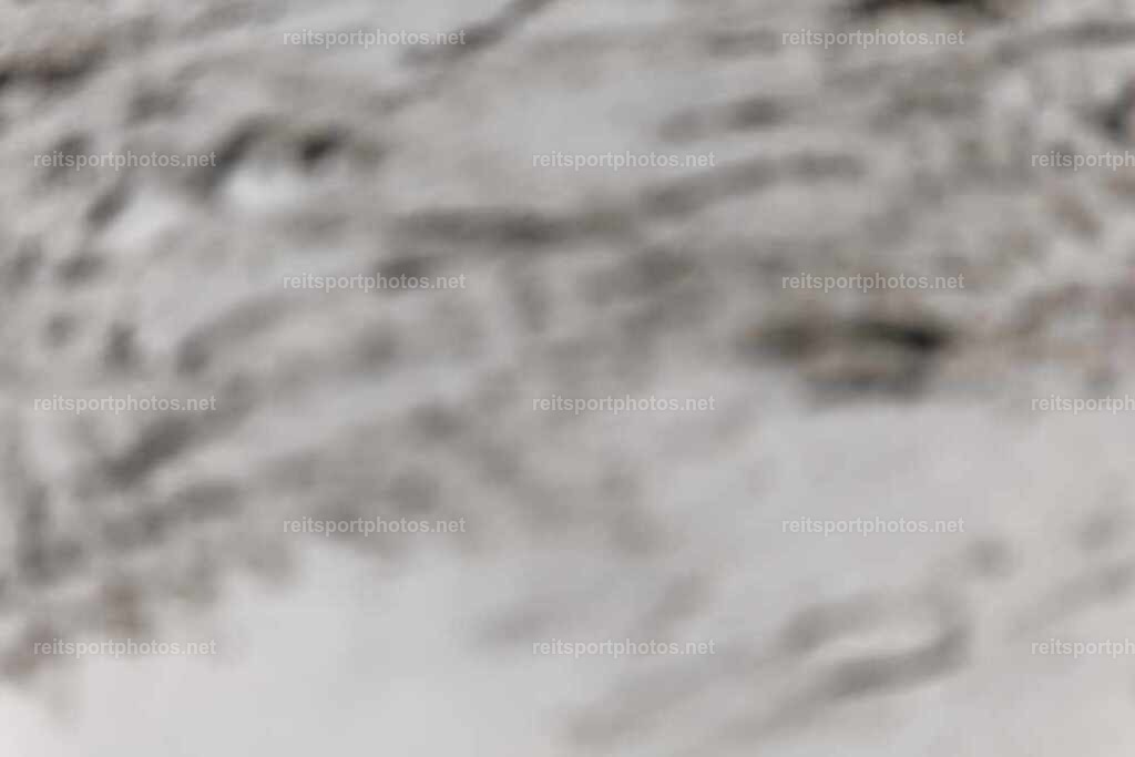JoYaR3_Heidehof_00506 | JoYa Fotografie - Realisiert mit Pictrs.com