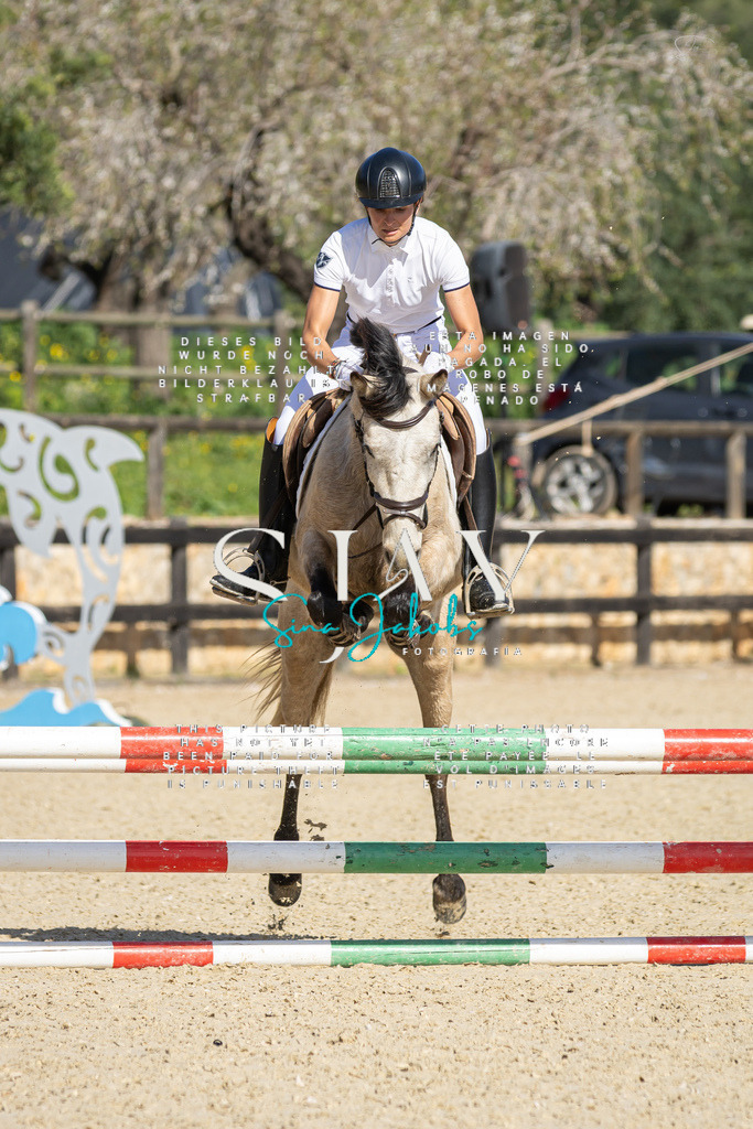 IMG_6177 | s-jay-photography - Realisiert mit Pictrs.com