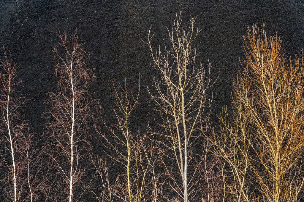 JT-210222 | Kohlenhalde, Kohlelager, Kraftwerkskohle, für das STEAG Heizkraftwerk Herne, am Rhein-Herne-Kanal, Herne, NRW, Deutschland - Realisiert mit Pictrs.com