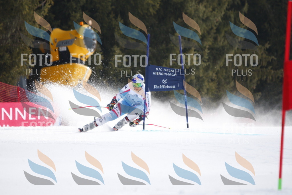 D7398 | holidayphoto