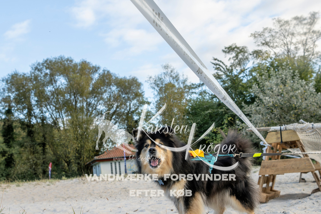 1632_ZZ97988 | kk-dogfotos