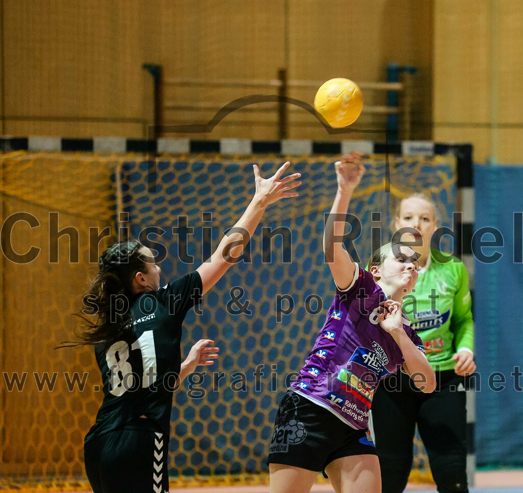 2024-01-27_059_SpVgg_Altenerding_gegen_HSG_Schwab-kirchen | Erding, Deutschland, 27.01.2024:
Handball, Bezirksoberliga Frauen Altbayern 2023 / 2024, 12. Spieltag, SpVgg Altenerding gegen HSG Schwab/kirchen, Endergebnis: 39:28

Veronika Gasteiger (HSG Schwab/kirchen, #81), Marlene Mittermeier (SpVgg Altenerding, #6), Torfrau Hanna Obermair (SpVgg Altenerding, #1)

Foto: Christian Riedel / fotografie-riedel.net