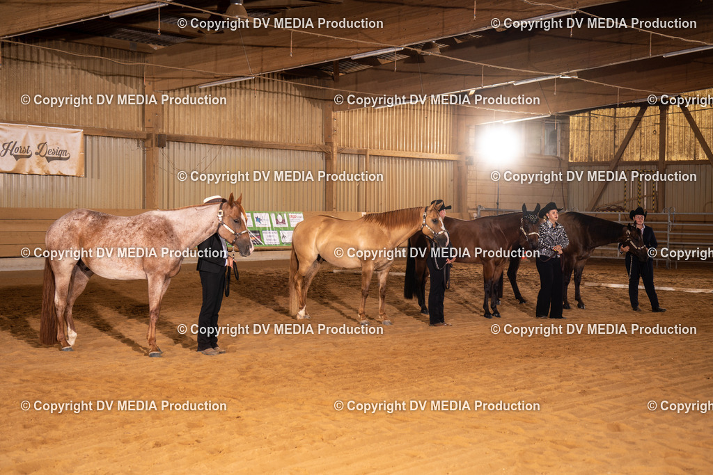 NID00149 | dv-media-shop - Realisiert mit Pictrs.com