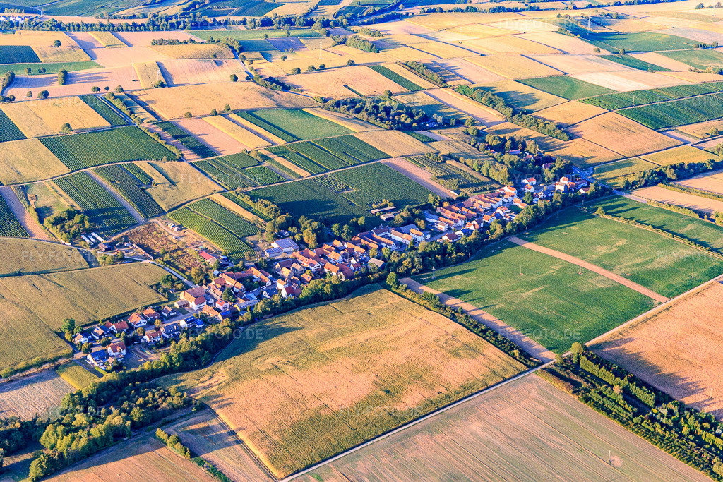 Luftbild: Ortsansicht von Südwesten in Vollmersweiler im Bundesland Rheinland-Pfalz in Deutschland. Foto: IMG_117444.jpg vom 06.09.2019 durch Werner Riehm/FLY-FOTO.de