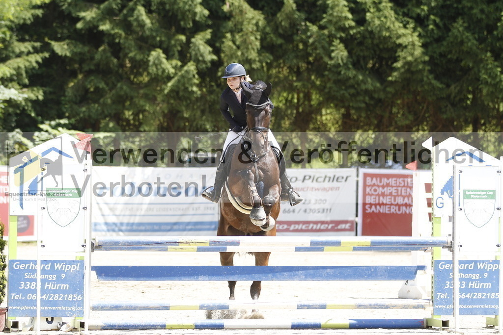 _MG_2132 | equestrian-live-com