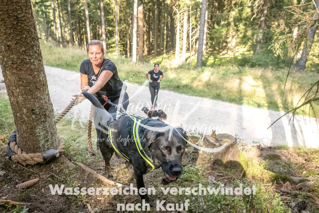 1049_ZZ92953 | kk-dogfotos