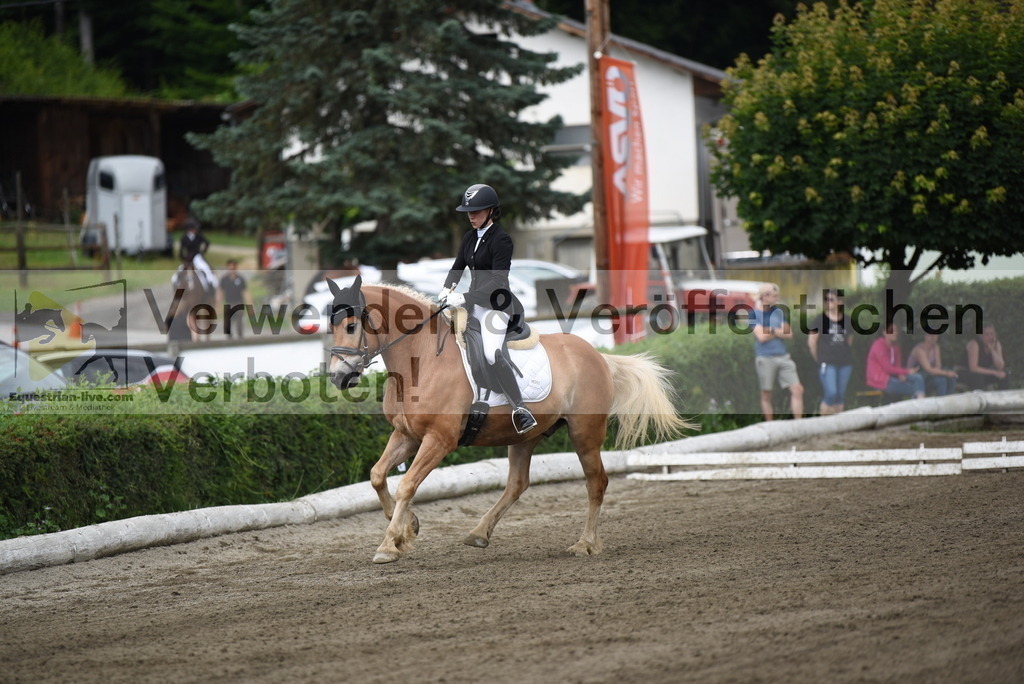 DSC_3812 | equestrian-live-com