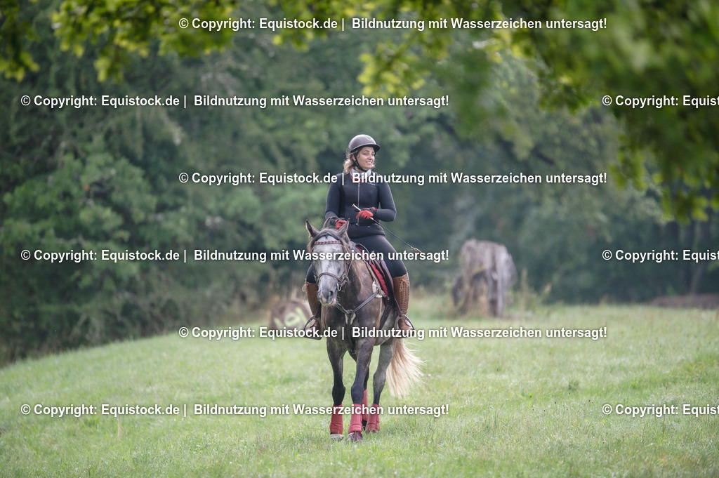 20250726_Vielseitigkeitslehrgang-Marbach_0036 | Foto: Thomas Hartig