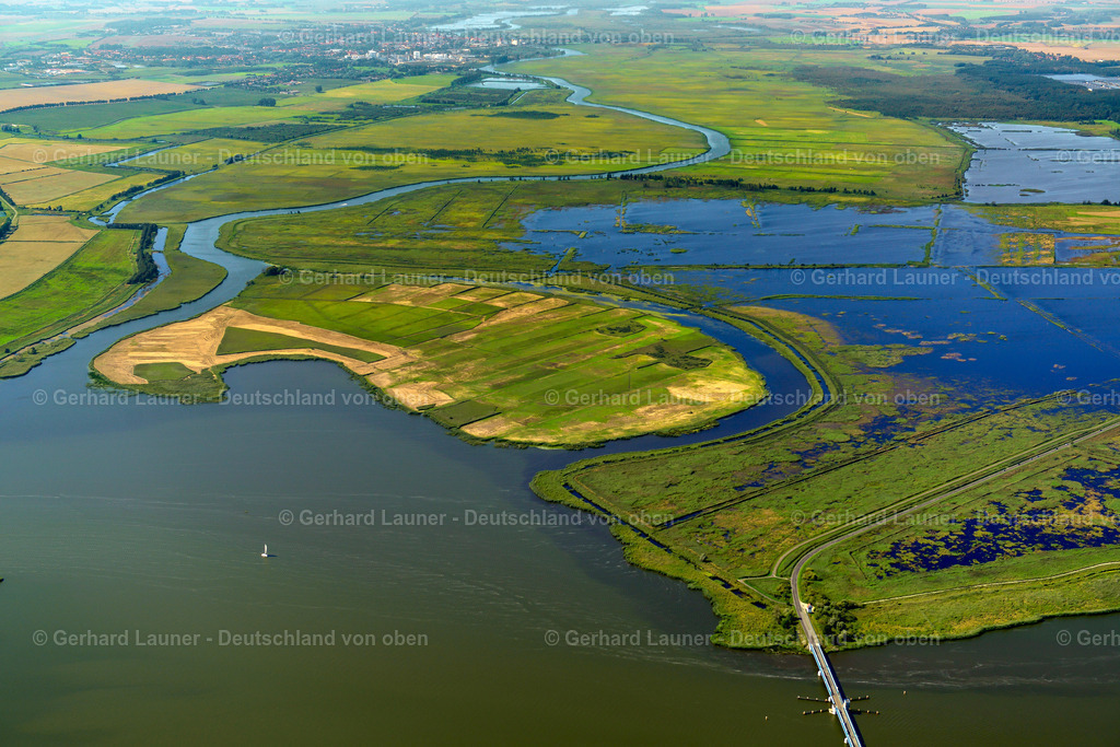 3637616 | Unteres Peenetal und Peenehaff, BUGGENHAGEN 25.08.2016 Tümpel und Morast- Wasseroberfläche mit Bäumen und Vegetation in einer Teichlandschaft in Buggenhagen im Bundesland Mecklenburg-Vorpommern, Deutschland. // Ponds and Morast- water surface with trees and vegetation in a pond landscape in Buggenhagen in the state Mecklenburg - Western Pomerania, Germany. Foto: Gerhard Launer