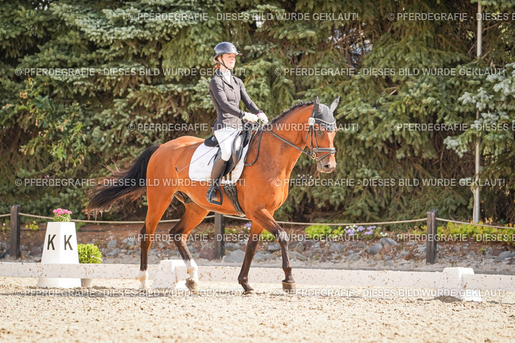 DSC00621 | Pferdegrafie