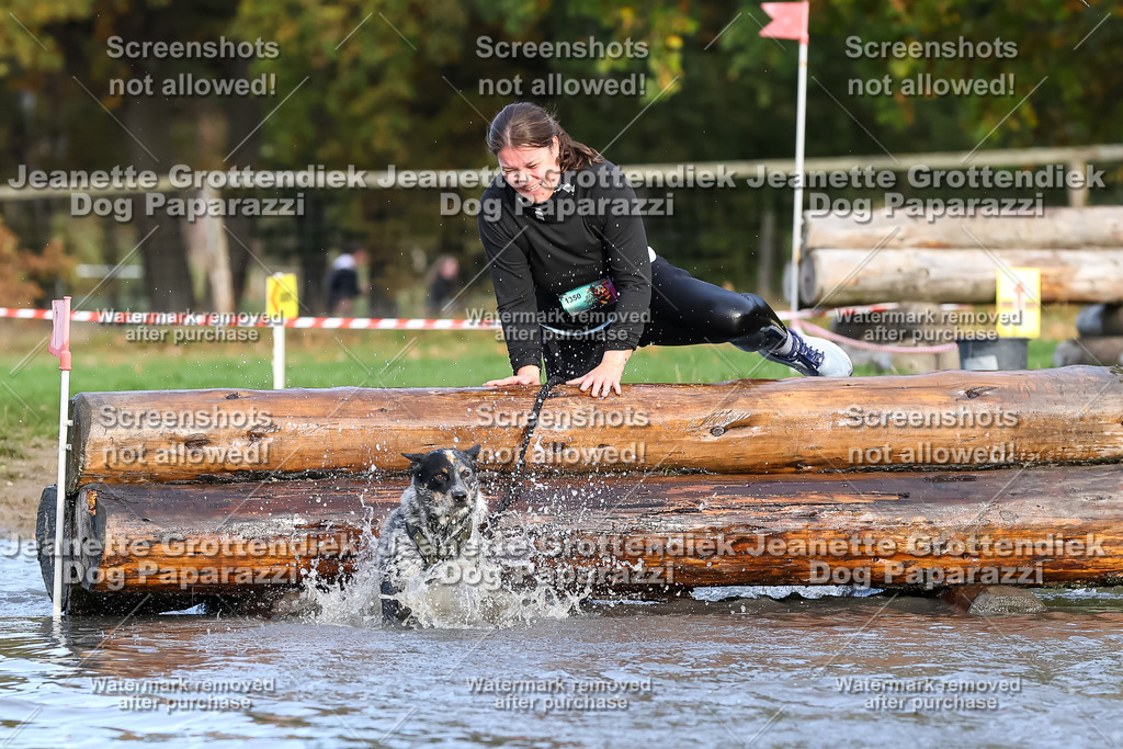 Dog Paparazzi - Strongdog 10-25-8256 | Dog Paparazzi Jeanette Grottendiek Fotografie & Videografie - Realisiert mit Pictrs.com