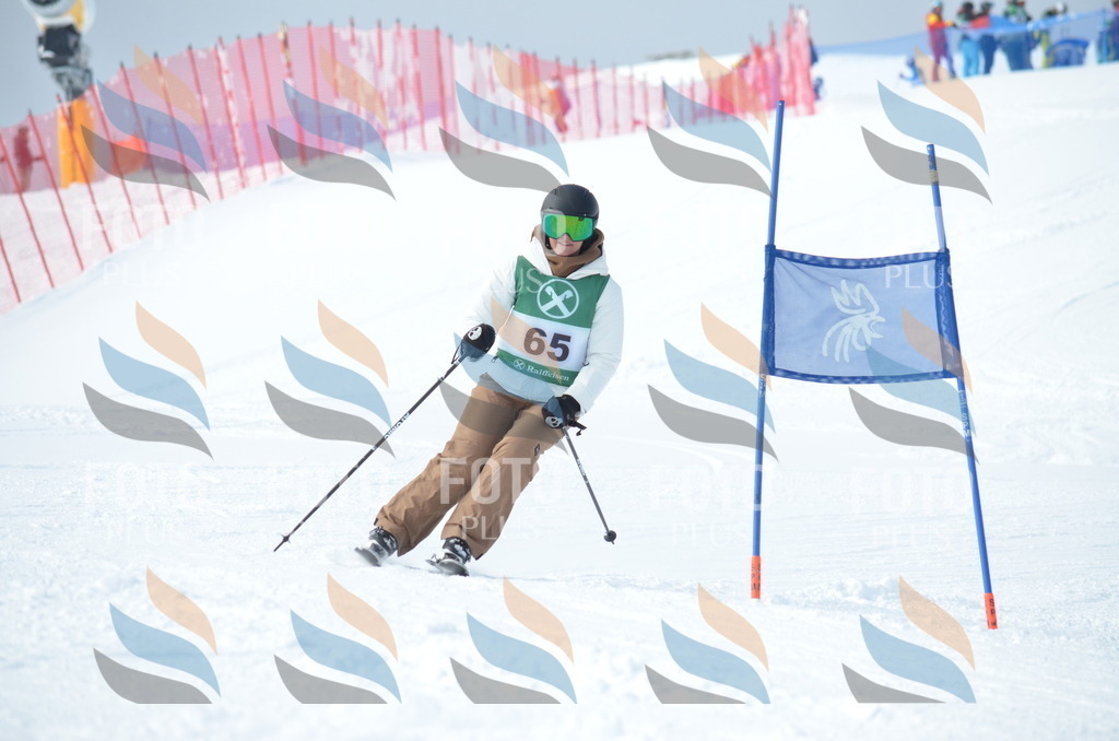 D8881 | holidayphoto