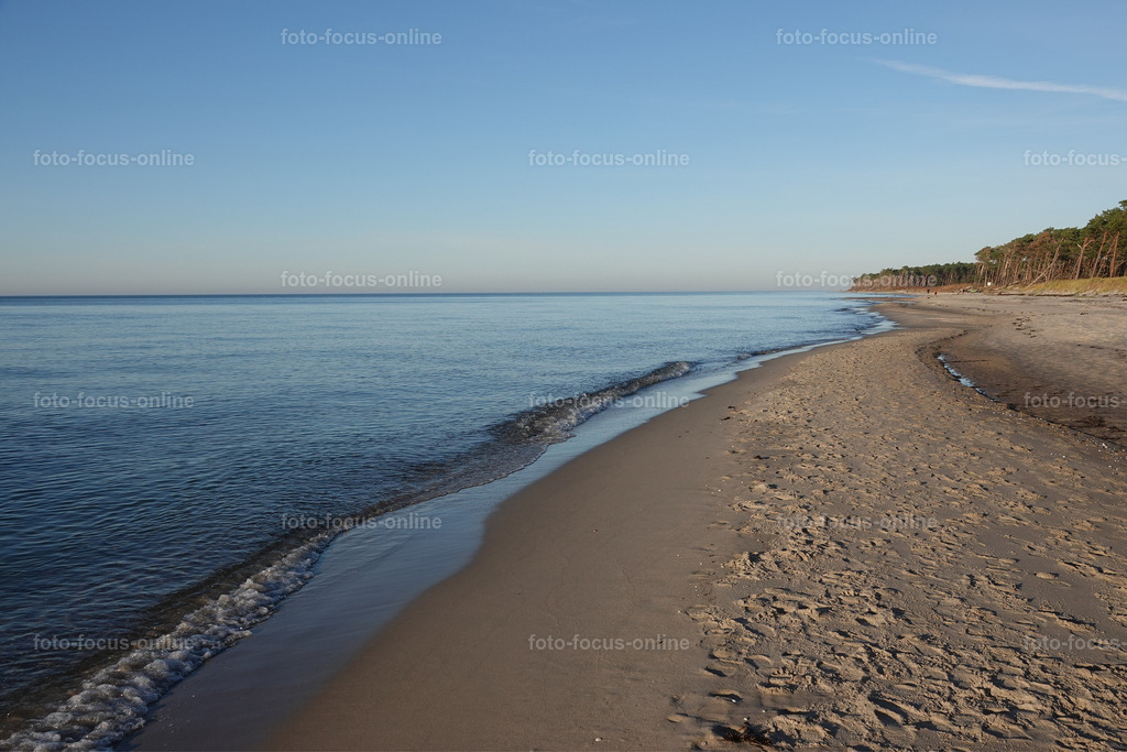 38 | foto-focus-online