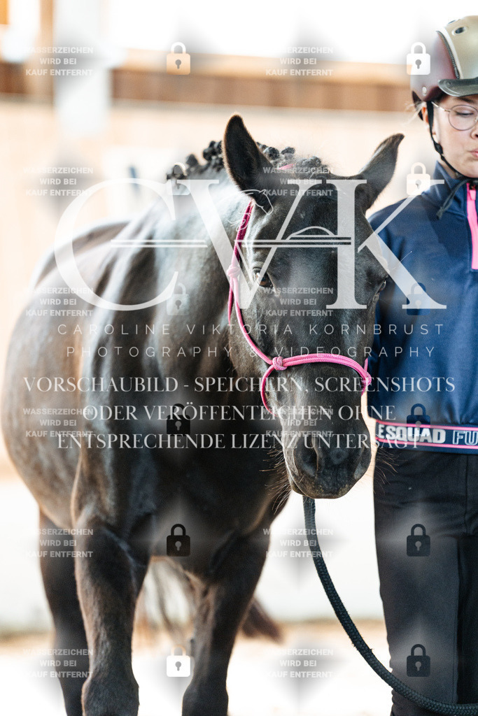CK906805 | Turnierfotografie Pferdefotografie Trier Rheinland-Pfalz Pferdesport Reitsport Tierfotografie Sportfotografie Pferdevideo Pferdevideografie Equestrianvideography equestrianphotography  - Realisiert mit Pictrs.com
