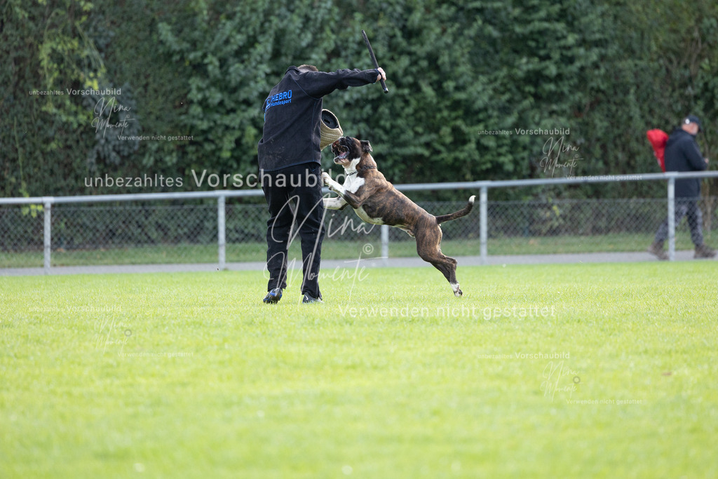 _16A6511 | Einzigartige Fotos von Hunden & Menschen –Actionfotos, Portraits, Vereinsaufnahmen & Paarshootings – authentisch, lebendig & mit Herz.