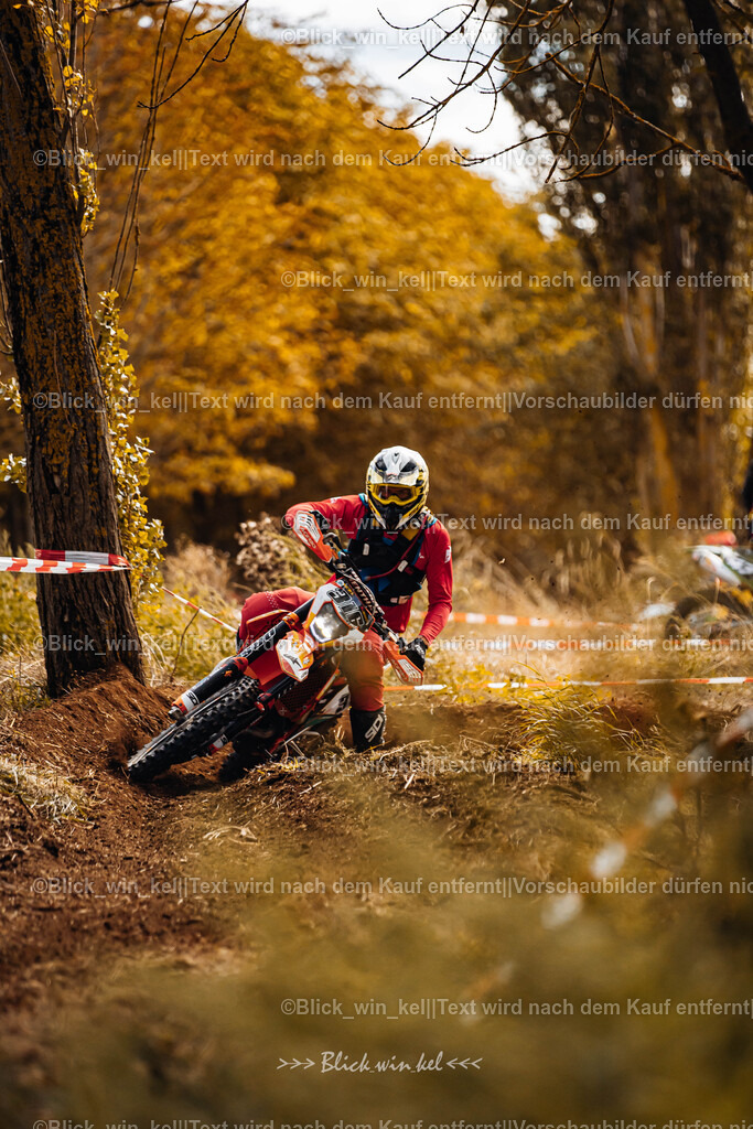 E68A2277 | blick_win_kel