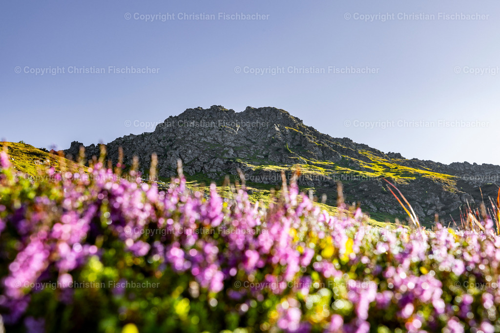 Fotos_Copyright_Chri_Fischbacher_Druck-473 | Bildershop Chri Fischbacher - Realisiert mit Pictrs.com