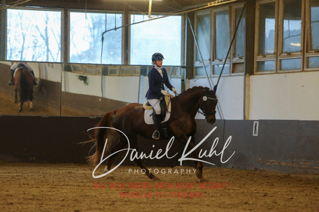 IMG_7953 | Turniersportfotografie; Pferdefotografie; Dressurfotografie