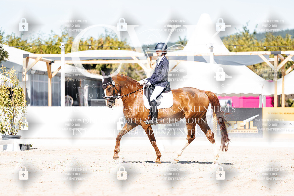 CK909316 | Turnierfotografie Pferdefotografie Trier Rheinland-Pfalz Pferdesport Reitsport Tierfotografie Sportfotografie Pferdevideo Pferdevideografie Equestrianvideography equestrianphotography  - Realisiert mit Pictrs.com