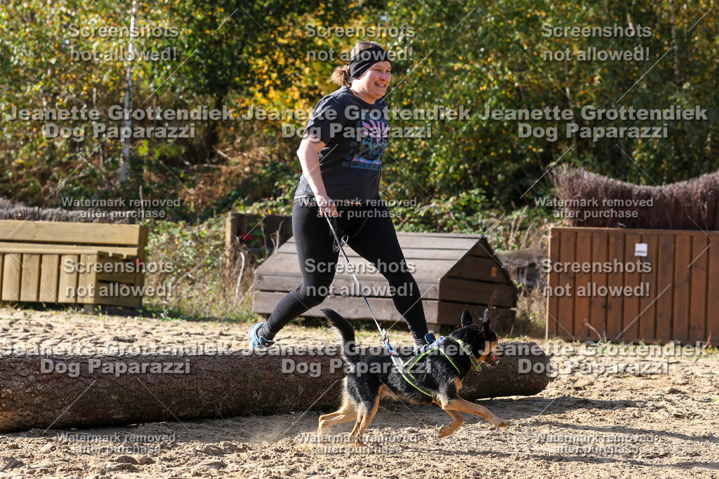 Dog Paparazzi - Strongdog 10-25-5981 | Dog Paparazzi Jeanette Grottendiek Fotografie & Videografie - Realisiert mit Pictrs.com