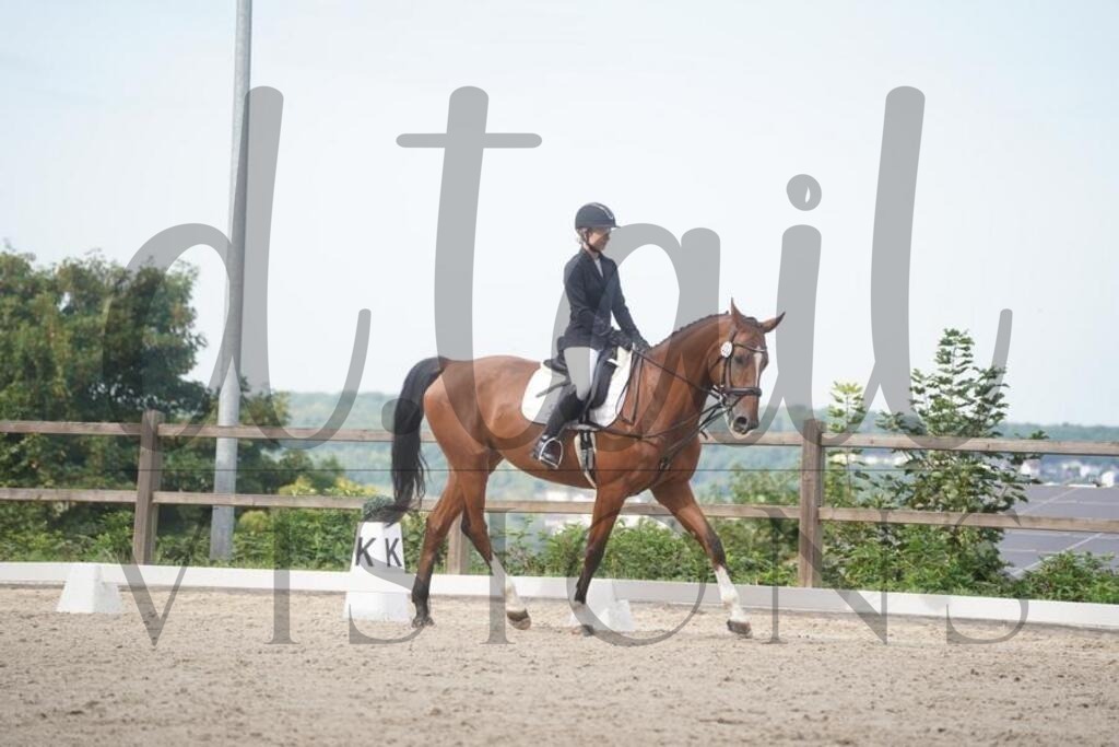 tgbhsamstag (618) | d.tail Visions - Shop - Realisiert mit Pictrs.com