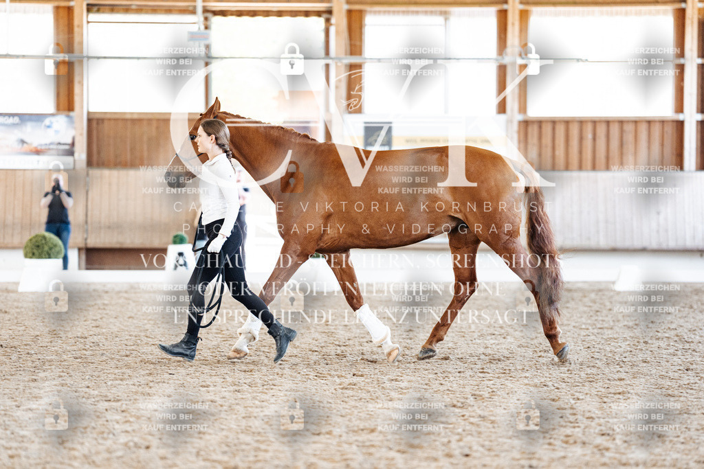 CK906937 | Turnierfotografie Pferdefotografie Trier Rheinland-Pfalz Pferdesport Reitsport Tierfotografie Sportfotografie Pferdevideo Pferdevideografie Equestrianvideography equestrianphotography  - Realisiert mit Pictrs.com