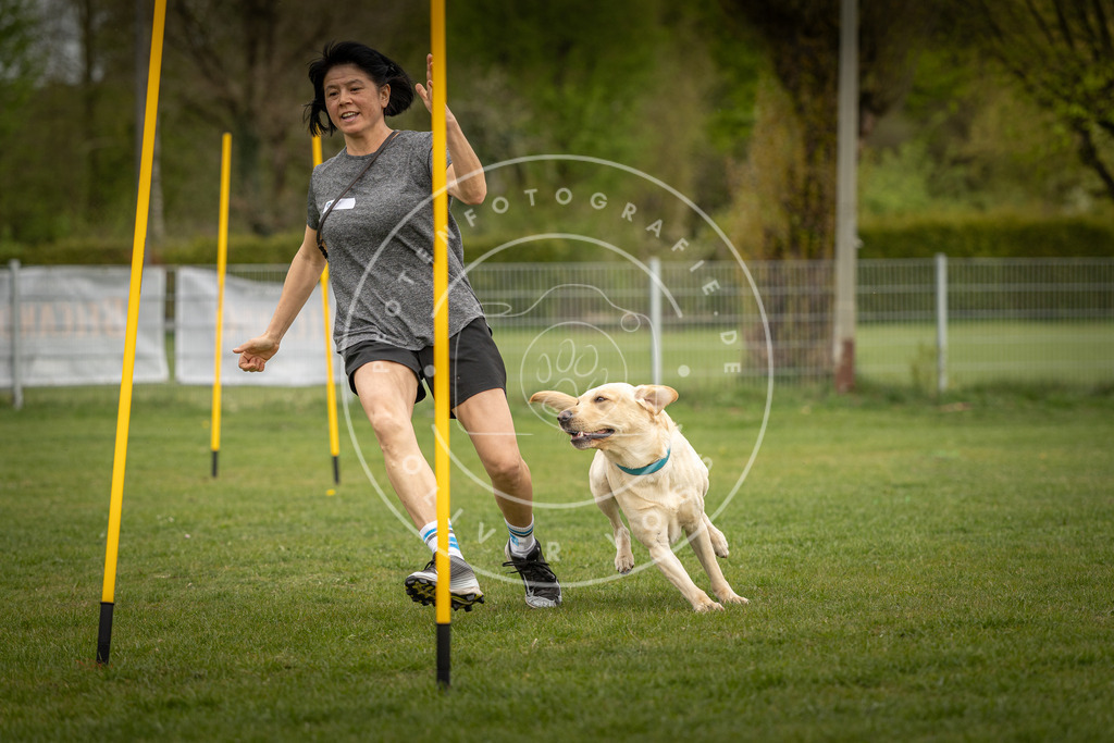 Pfotenfotografie_DV3A7967 | Hundefotografie, Tierfotograf, Pfotenfotografie, Fotoshooting Hund, Hunde Portrait, Hundesport, Hundeportraits, Heideshooting, Hunde, Sportfotograf, Hundefotograf, Turnierhundsport, THS,  - Realisiert mit Pictrs.com