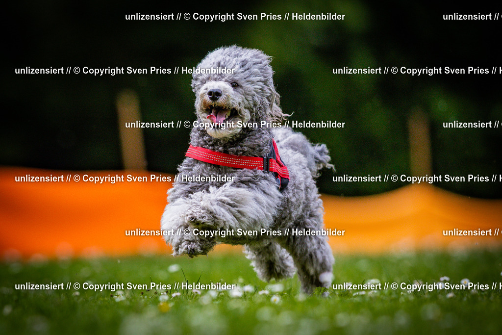 Sven Pries | 2025-05-29 - Pudelrennen KA-Durlach - Realisiert mit Pictrs.com