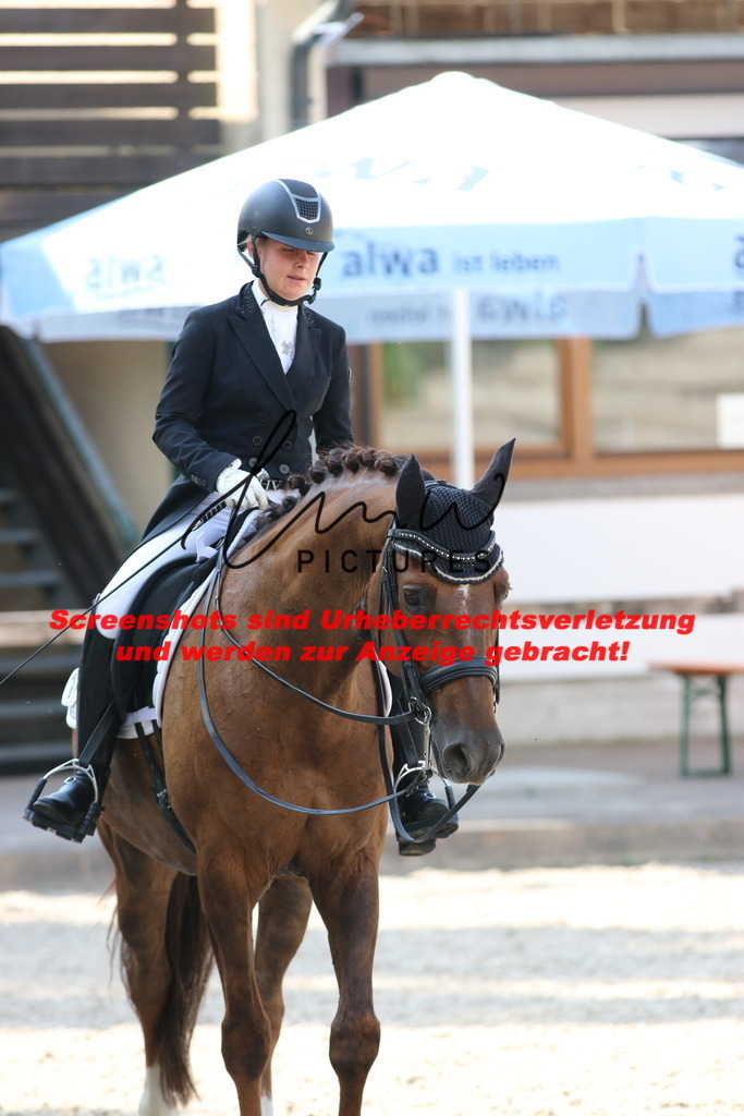 IMG_6884 | lmwpictures - Realisiert mit Pictrs.com