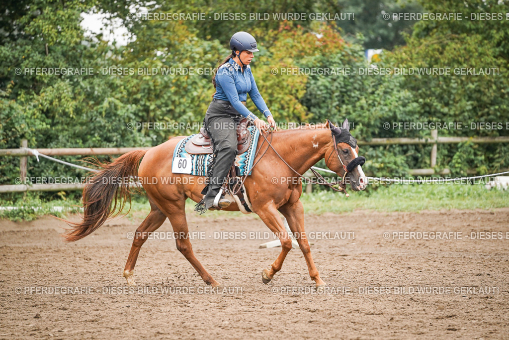 DSC02318 | Pferdegrafie