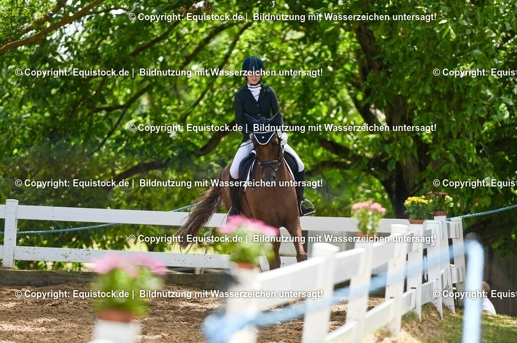 20230716_03_Dressurprfg. Kl.L - Tr._0320 | equistock