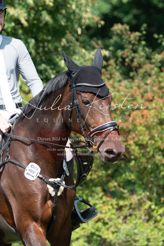 DSC_0803 | Pferde- und Turnierfotografie in Westsachsen. Pferdeportraits, Auftragszeichnungen und intuitive Kunst.