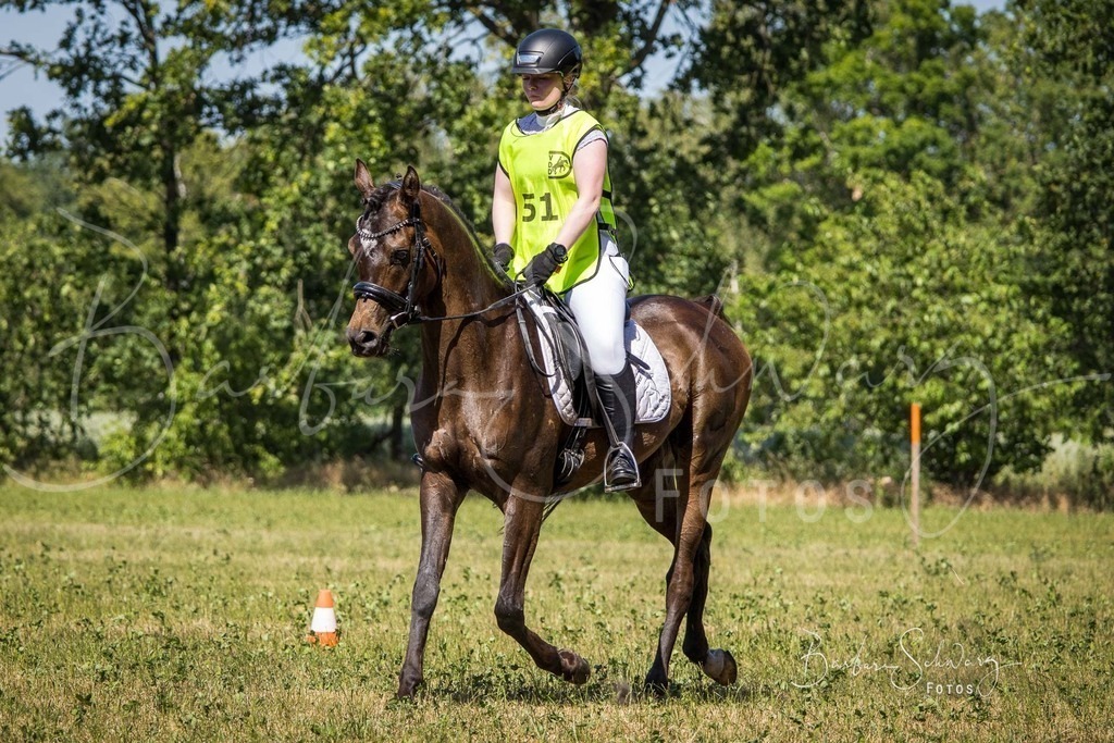CJP_2026-06-26_185 | Stimmungsvolle Fotografie von Pferden, fotografische Begleitung von Veranstaltungen, Golfturnieren und Distanzritten - Realisiert mit Pictrs.com