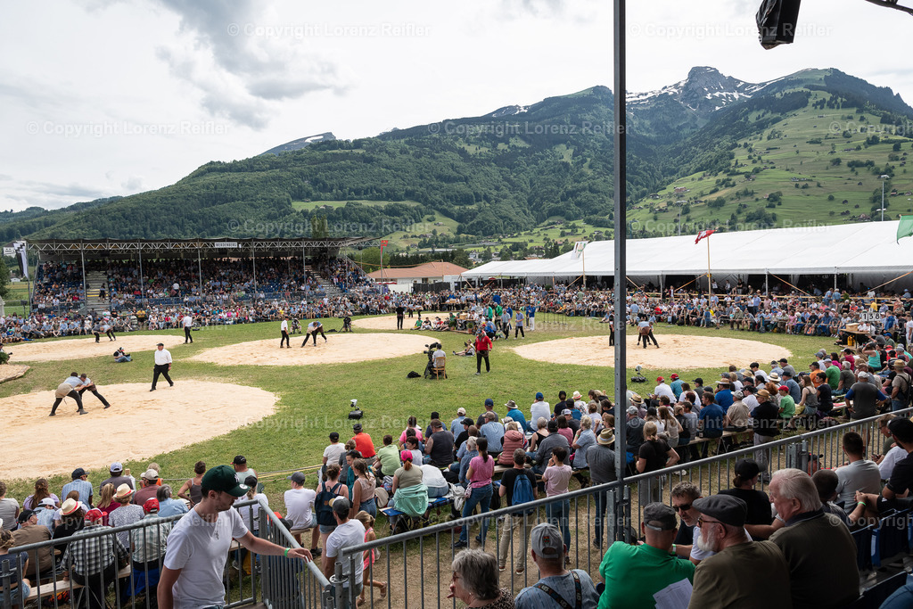 Schwingen -  St.Galler Kantonal 2024 | Grabs, 26.5.24, Schwingen - St.Galler Kantonal.