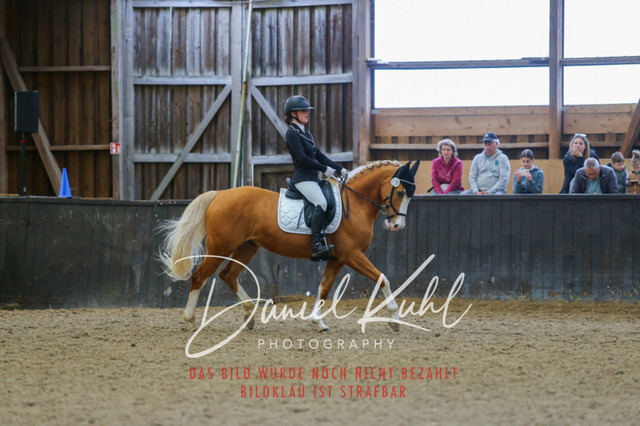 IMG_0548 | Turniersportfotografie; Pferdefotografie; Dressurfotografie