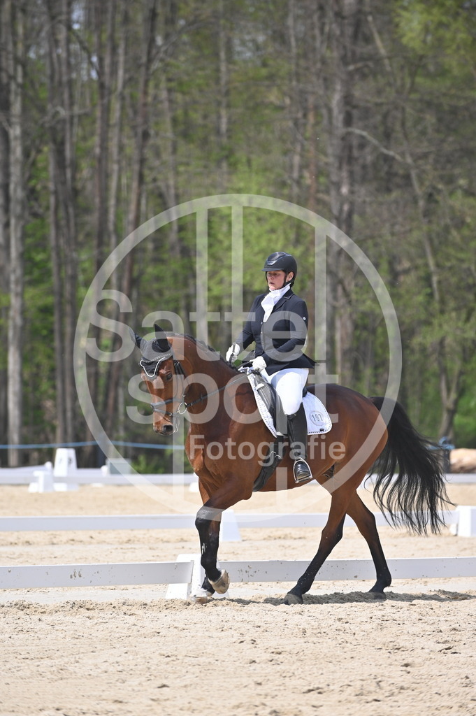 DSC_2119 | sattelsport - Realisiert mit Pictrs.com