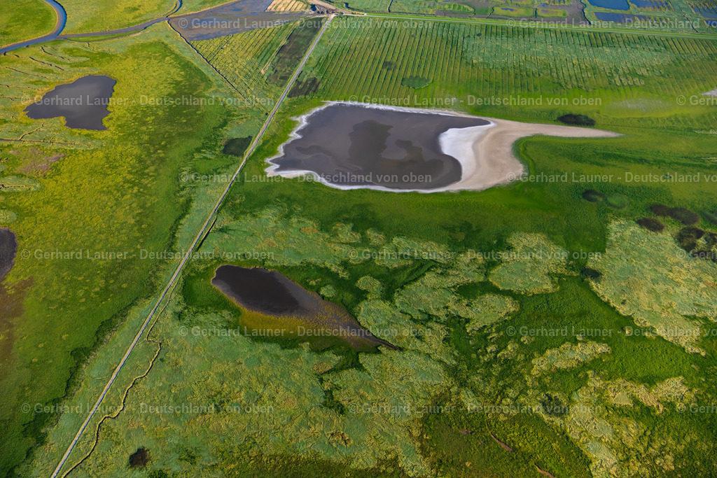 4038454 | Leyhörner Sieltief GREETSIEL 07.08.2020 Grasflächen- Strukturen einer Feld- und Wiesen- Landschaft an der Küste bei Greetsiel im Bundesland Niedersachsen, Deutschland. // Grass area structures of a salt marsh landscape in Greetsiel in the state Lower Saxony, Germany. Foto: Gerhard Launer